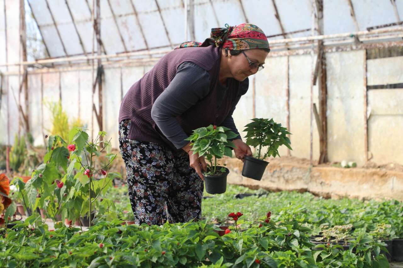 Kadın Emeğiyle 28 Milyon Çiçek: Muğla’da Üretim Büyüyor 3